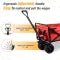 Collapsible Heavy Duty Beach Wagon