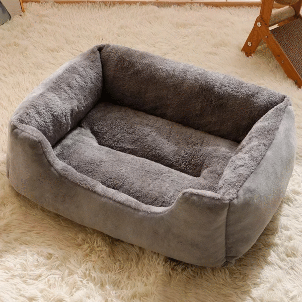 Bed for Cats Pet Products Cushions Kitten Goods